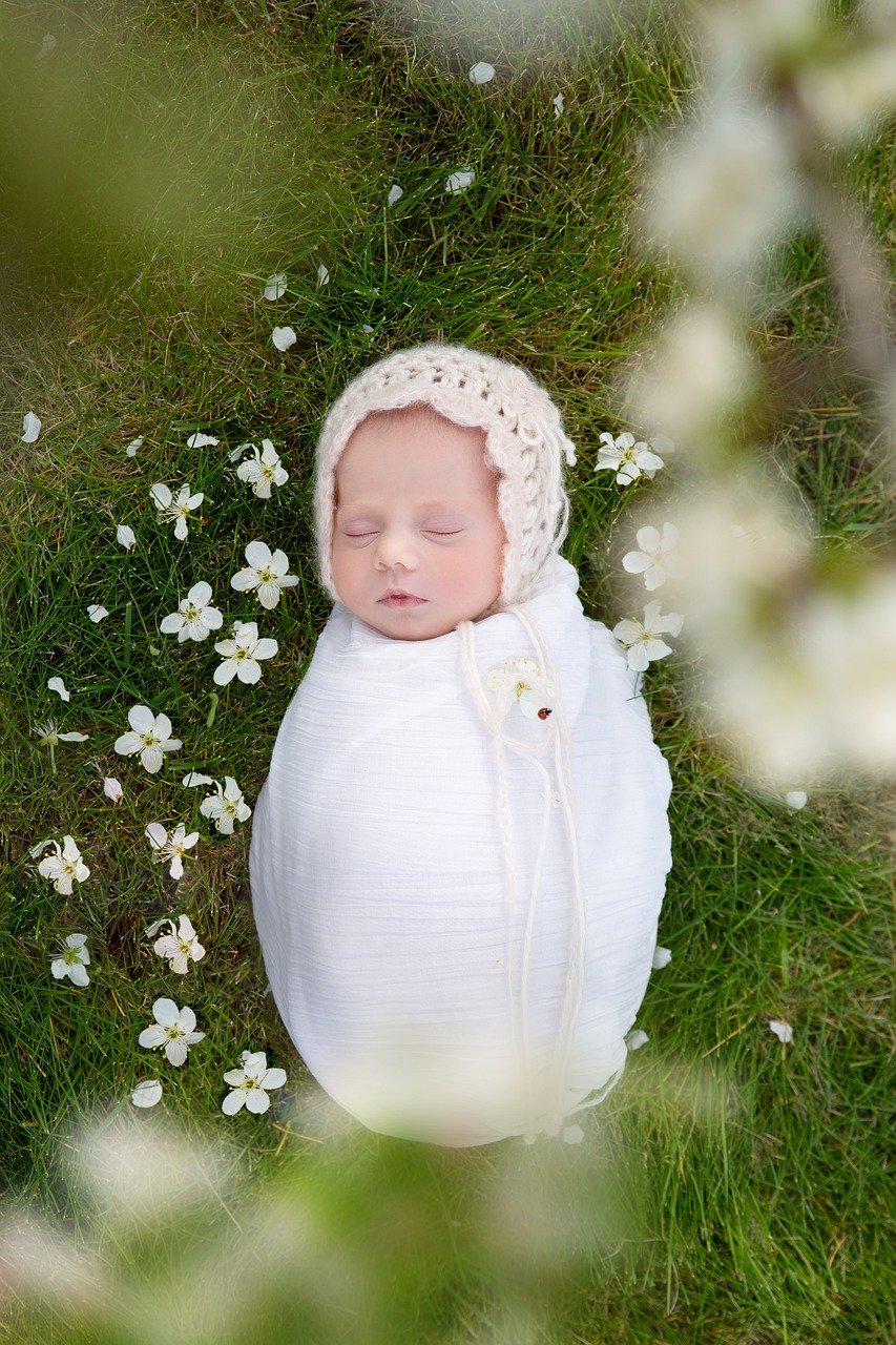 baby, child, grass, girl, nature, spring, blossom, ladybug, baby, baby, baby, baby, baby