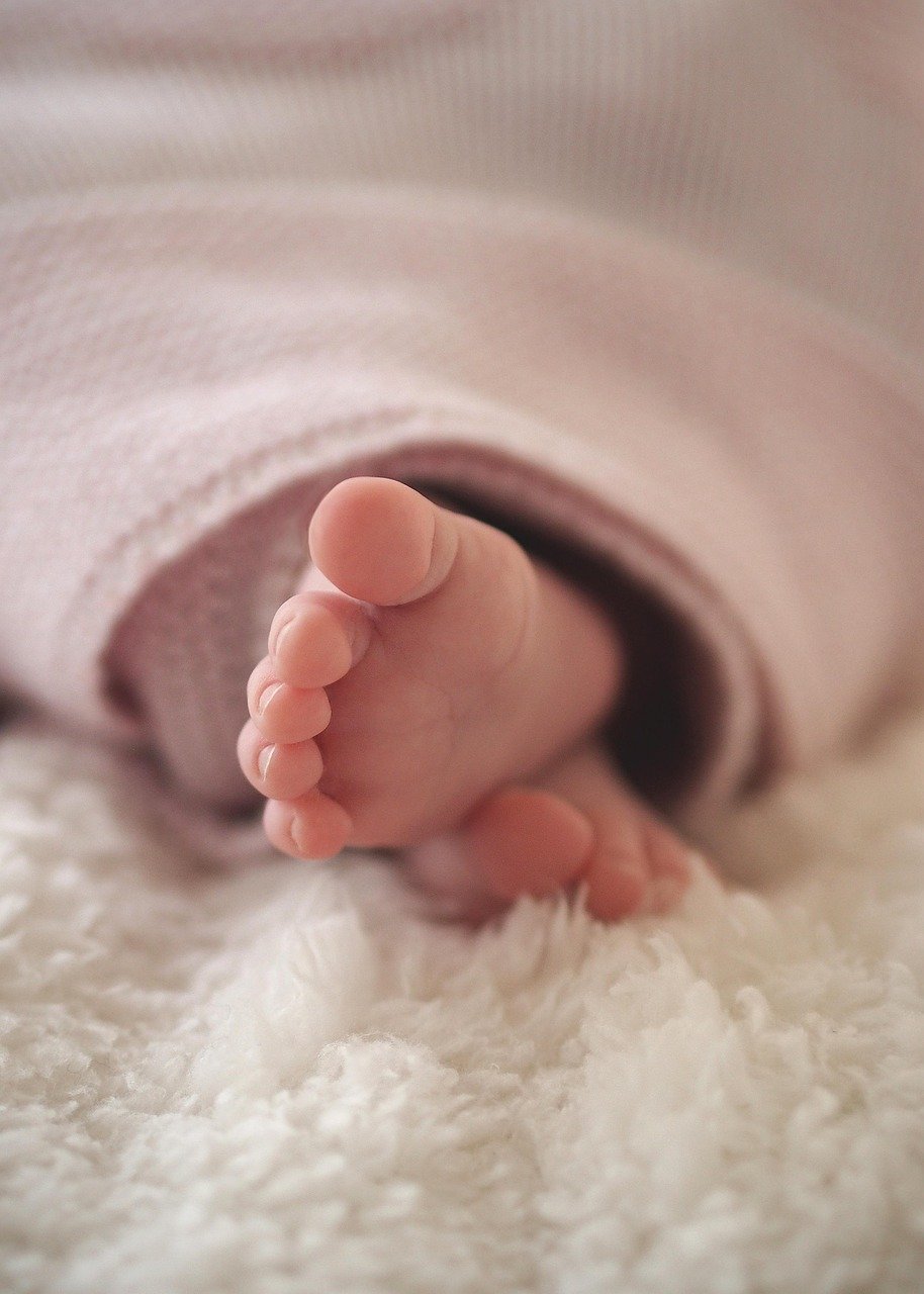 feet, baby, babies, baby feet, newborn, child, foot, small, cute, toe, new, human, skin, innocent, soft, sleeping, blanket, brown sleep, brown news, brown sleeping, brown human, brown new, baby, baby, baby, baby, baby, baby feet, baby feet, blanket, blanket